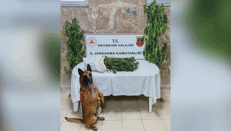 Nevşehir’de Jandarmanın Narkotik Operasyonu