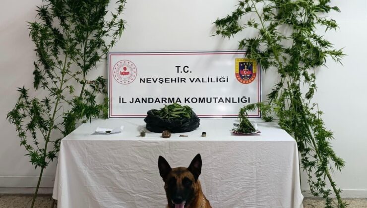 Nevşehir Jandarma’dan Uyuşturucu Operasyonu