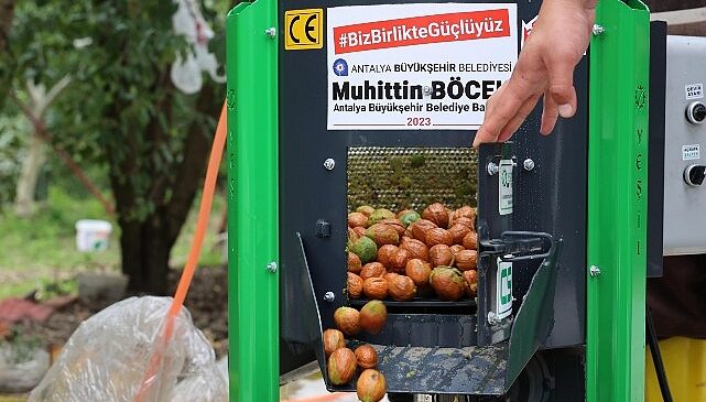 Büyükşehir’in ceviz soyma makineleri üreticilerin hizmetinde