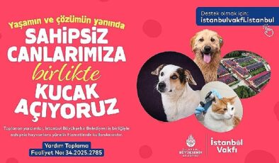 İstanbul Vakfı’ndan sahipsiz can dostlarımıza destek çağrısı