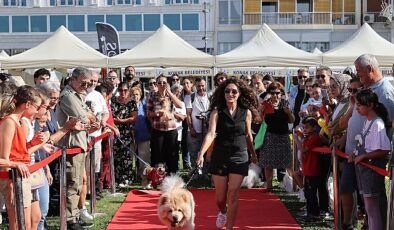 Patilerin Festivali 6 yaşında