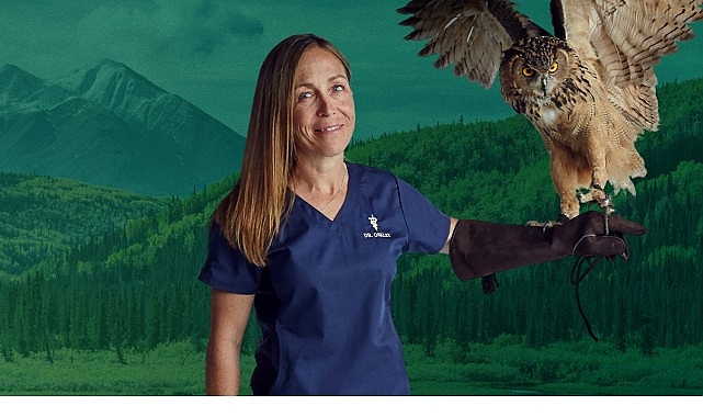 6 Bölümden Oluşan ‘Yukon Veterineri Özel’,   5. Sezonu İle 4-11-18 Şubat Çarşamba Saat 20.00’de İki  Bölüm Art Arda National Geographic WILD Ekranlarında!