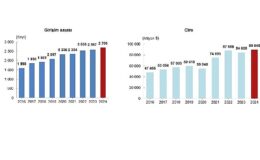 Yurt Dışında Kontrol Edilen Girişim İstatistikleri, 2024