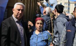 Bergama’dan Üretime Büyük Destek: Ahlat Ağaçları Aşılandı, Binlerce Fidan Dağıtıldı