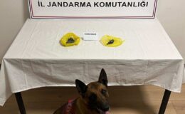 NEVŞEHİR İL JANDARMA KOMUTANLIĞI BASIN DUYURUSU