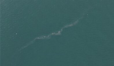 İzmir Körfezi’nde 13. dış kaynaklı kirlilik vakası