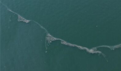 Körfez’de 12. kez dış kaynaklı kirlilik tespit edildi