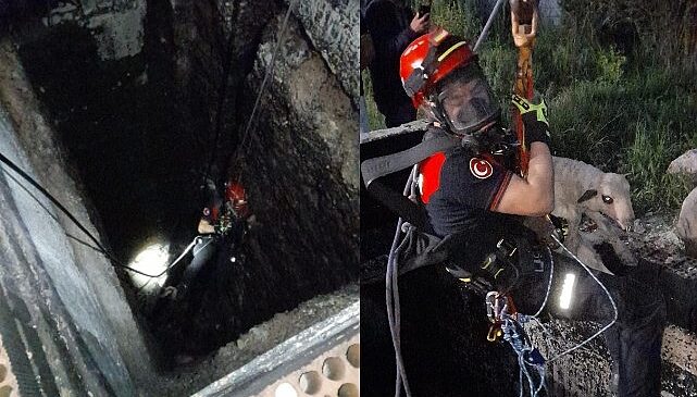 Kuyuya düşen kuzuya itfaiyeden nefes kesen kurtarma